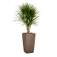 Decorative items